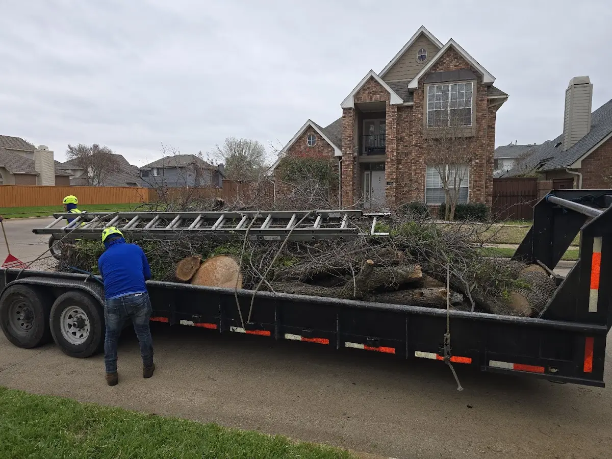 Expert Lot Clearing with proper safety equipment in Glasgow